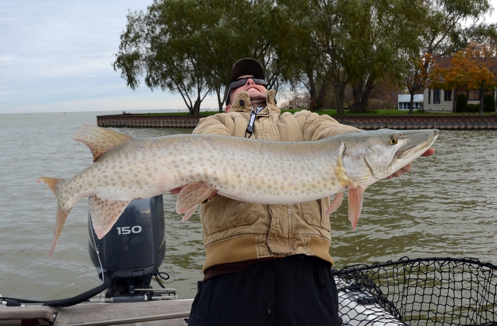 Silly man holds giant fish in boat - boat insurance in Washington