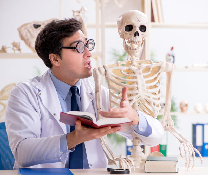 Medical professional explaining health insurance terms to skeleton - health insurance in Washington