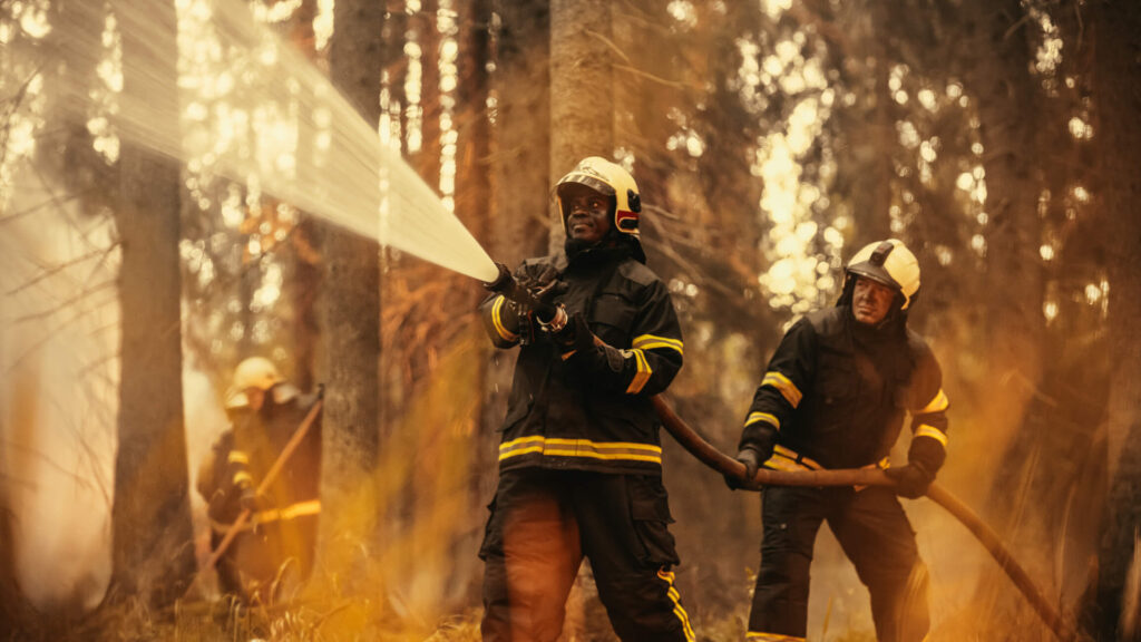 Firefighters