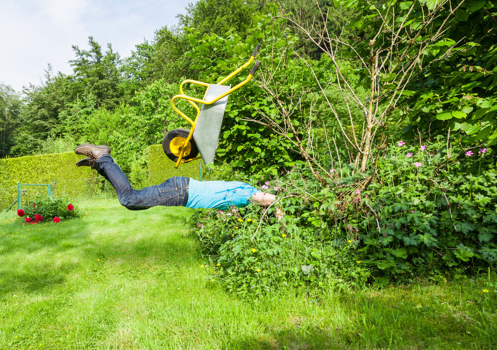 Funny picture of a man falling into bushes with wheelbarrow floating above.