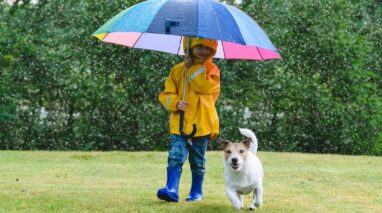 Young boy walks with dog under a colorful umbrella in the rain - cheap umbrella insurance in Washington.