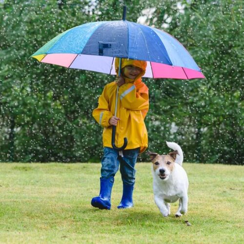 Young boy walks with dog under a colorful umbrella in the rain - cheap umbrella insurance in Washington.